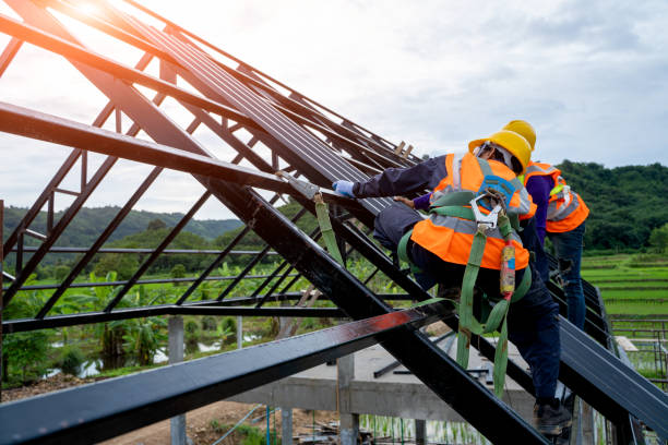 Best Metal Roofing Contractor  in Lakeland, TN
